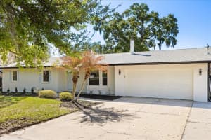 310 GULLEY AVENUE, OAKLAND, FL 34760 - MLS#MFRO6389102