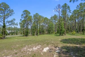 35408 PINEGATE TRL TRAIL, EUSTIS, FL 32736 - MLS#MFRO6389103