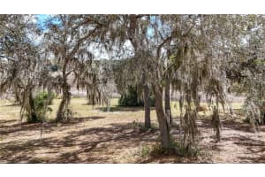 ESTES (HIGHLAND DR.) RD, EUSTIS, FL 32726 - MLS#MFRO6389114