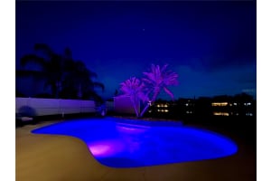 307 VELVETEEN PLACE, CHULUOTA, FL 32766 - MLS#MFRO6389128