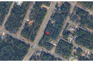 8811 CITRUS SPRINGS BOULEVARD, CITRUS SPRINGS, FL 34433 - MLS#MFRO6389200