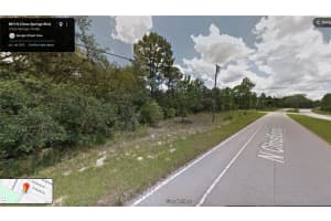 8811 CITRUS SPRINGS BOULEVARD, CITRUS SPRINGS, FL 34433 - MLS#MFRO6389200