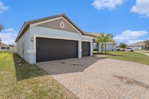 11944 CINNAMON FERN DRIVE, RIVERVIEW, FL 33579 - MLS#MFRO6389263