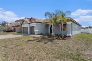 11944 CINNAMON FERN DRIVE, RIVERVIEW, FL 33579 - MLS#MFRO6389263