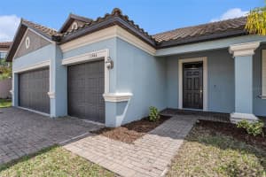 11944 CINNAMON FERN DRIVE, RIVERVIEW, FL 33579 - MLS#MFRO6389263