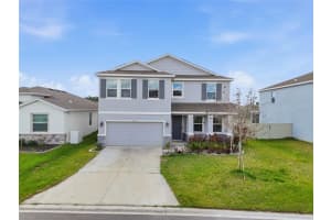 1516 Tropical Oasis Ave, PLANT CITY