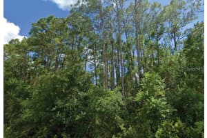 LANGSOM LN, NORTH PORT, FL 34286 - MLS#MFRO6389390