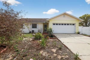 3101 ELDERWOOD PLACE, SEFFNER, FL 33584 - MLS#MFRO6389483