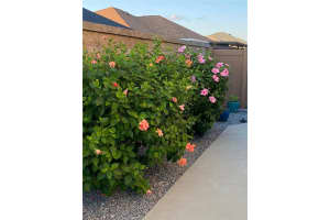 5840 UNGER COURT, WILDWOOD, FL 34785 - MLS#MFRO6389488