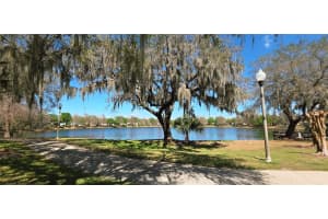 14439 BLUEBIRD PARK ROAD, WINDERMERE, FL 34786 - MLS#MFRO6389567