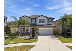 16146 Monterey Greens Cir, TAMPA 16146 Monterey Greens Cir, TAMPA