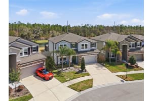 16146 MONTEREY GREENS CIRCLE, TAMPA, FL 33647 - MLS#MFRO6389591