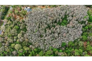 QUINLAN ST, ORLANDO, FL 32833 - MLS#MFRO6389598