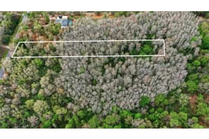 QUINLAN ST, ORLANDO, FL 32833 - MLS#MFRO6389598