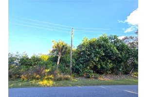 1667 RED BUD CIRCLE, PALM BAY, FL 32907 - MLS#MFRO6389798