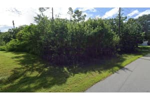 1667 RED BUD CIRCLE, PALM BAY, FL 32907 - MLS#MFRO6389798