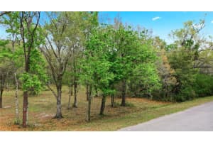 QUINLAN ST, ORLANDO, FL 32833 - MLS#MFRO6389810