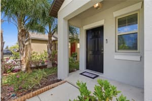 861 OLIVE CONCH STREET, RUSKIN, FL 33570 - MLS#MFRO6389817