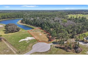 20280 SHORELINE RANCHES LANE, UMATILLA, FL 32784 - MLS#MFRO6389874