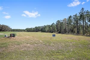 20280 SHORELINE RANCHES LANE, UMATILLA, FL 32784 - MLS#MFRO6389874