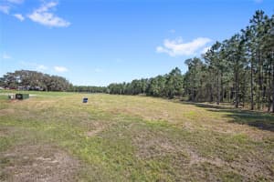 20280 SHORELINE RANCHES LANE, UMATILLA, FL 32784 - MLS#MFRO6389874