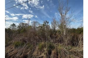 4125 QUAIL NEST LANE, NEW SMYRNA BEACH, FL 32168 - MLS#MFRO6389899