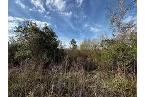 4125 QUAIL NEST LANE, NEW SMYRNA BEACH, FL 32168 - MLS#MFRO6389899