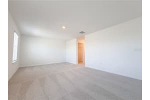 8751 SALTY SANDS STREET, PARRISH, FL 34219 - MLS#MFRO6389965