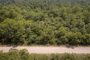 823 DURMON AVENUE, LAKE PLACID, FL 33852 - MLS#MFRO6390049