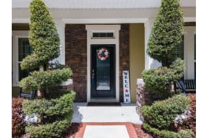 15940 TERNGLADE DRIVE, LITHIA, FL 33547 - MLS#MFRO6390089