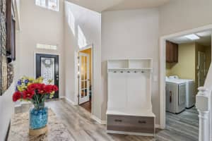 15940 TERNGLADE DRIVE, LITHIA, FL 33547 - MLS#MFRO6390089