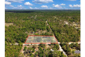 12231 64TH PLACE, WILLISTON, FL 32696 - MLS#MFRO6390250