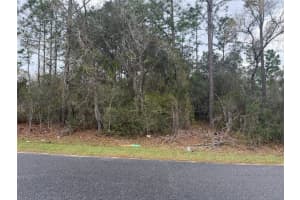 0000 FIR DRIVE TRACK, OCALA, FL 34472 - MLS#MFRO6390281