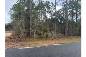 0000 FIR DRIVE TRACK, OCALA, FL 34472 - MLS#MFRO6390281