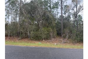 0000 FIR DRIVE TRACK, OCALA, FL 34472 - MLS#MFRO6390281
