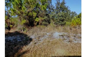 WINTERVILLE CIR, NORTH PORT, FL 34288 - MLS#MFRO6390326