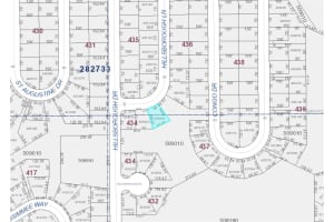 1317 HILLSBOROUGH LANE, KISSIMMEE, FL 34759 - MLS#MFRO6390347