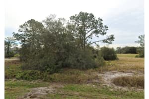 1317 HILLSBOROUGH LANE, KISSIMMEE, FL 34759 - MLS#MFRO6390347