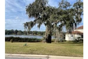 519 BLUE WATER EDGE DRIVE, EUSTIS, FL 32736 - MLS#MFRO6390446