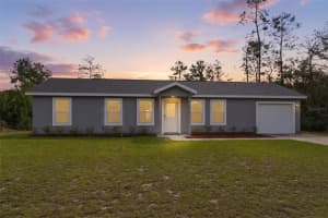 15989 Sw 29th Court Rd, OCALA