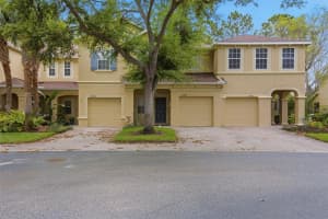 9333 STONE RIVER PLACE, RIVERVIEW, FL 33578 - MLS#MFRO6390575