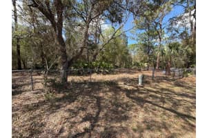 980 CONANT AVENUE, CRYSTAL RIVER, FL 34429 - MLS#MFRO6390632