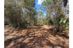 980 CONANT AVENUE, CRYSTAL RIVER, FL 34429 - MLS#MFRO6390632