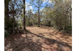 980 CONANT AVENUE, CRYSTAL RIVER, FL 34429 - MLS#MFRO6390632