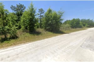 100TH LN, DUNNELLON, FL 34432 - MLS#MFRO6390636