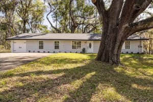 421 137TH AVENUE, OCALA, FL 34481 - MLS#MFRO6390649