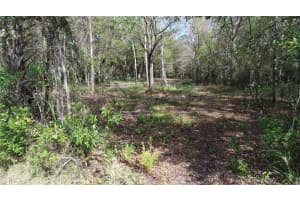 CEDARHURST RD, ORLANDO, FL 32820 - MLS#MFRO6390748