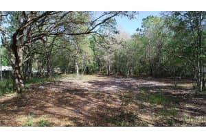 CEDARHURST RD, ORLANDO, FL 32820 - MLS#MFRO6390748