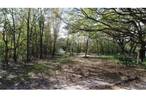 CEDARHURST RD, ORLANDO, FL 32820 - MLS#MFRO6390748