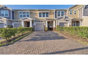 18879 Ulmus St, LUTZ